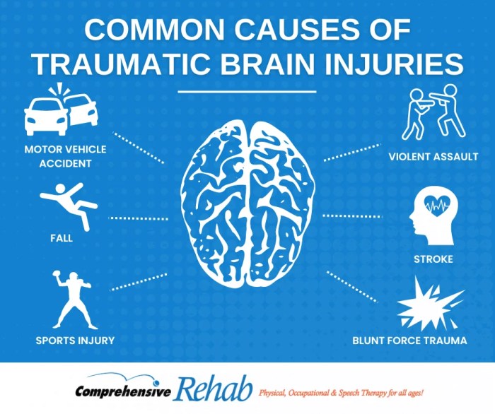 Which sport has the most brain injuries?
