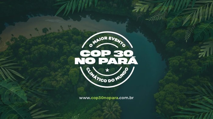 Rumo à COP30 no Brasil Rumo à COP30 no Brasil