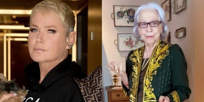 Internação de Fernanda Montenegro expõe risco e médica alerta: 'No idoso é mais grave'