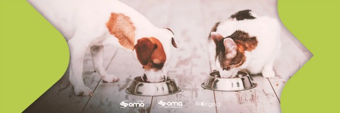 Soma Nutrição Animal - Conheça o nosso site! Soma Nutrição Animal