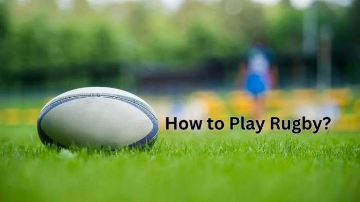 How many countries play rugby professionally?