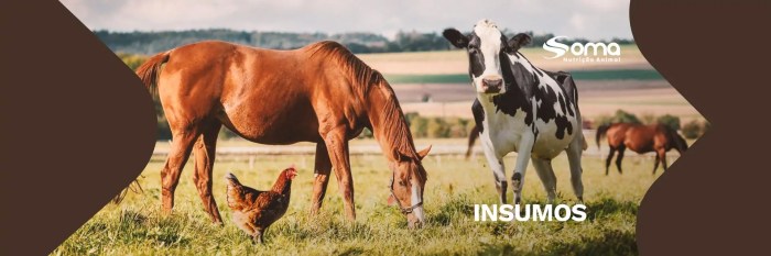 Soma Nutrição Animal - Conheça o nosso site! Soma Nutrição Animal - Conheça o nosso site!