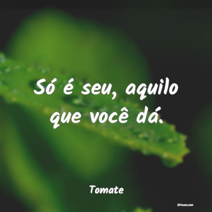 Frases de Tomate - Nunca desista dos seus sonhos, Frases de Tomate - Nunca desista dos seus sonhos,