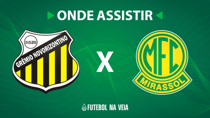 Ponte Preta x Novorizontino: onde assistir ao vivo, horário e ... Ponte Preta x Novorizontino: onde assistir ao vivo, horário e ...