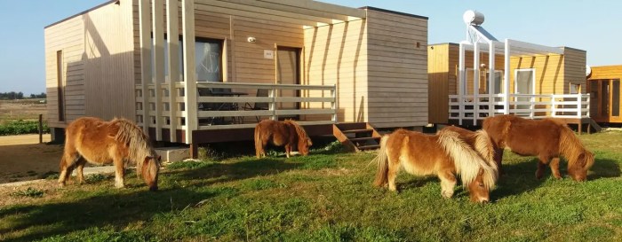 Casa de modular, portuguesa, 50 m² por apenas 37 mil €!!! | homify Casa de modular, portuguesa, 50 m² por apenas 37 mil €!!! | homify