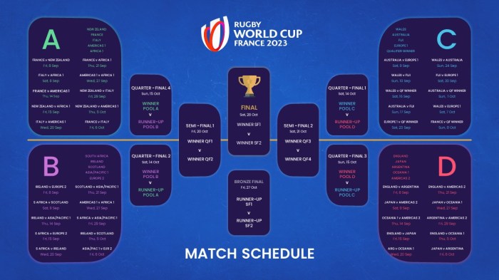 How popular is rugby in the world?