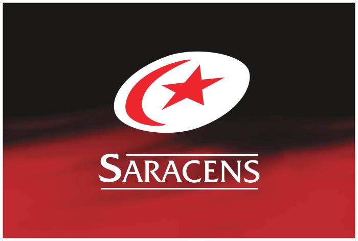 Rugby world cup teams most successful chart statista description