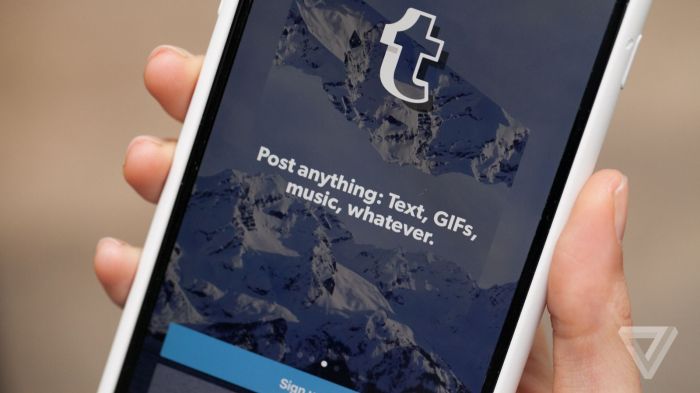 Tumblr's new Labs program lets users test experimental features - The Verge Tumblr