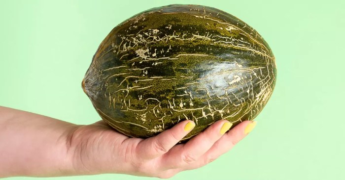 Melão Pele de Sapo - ECO — Brycus Melão Pele De Sapo
