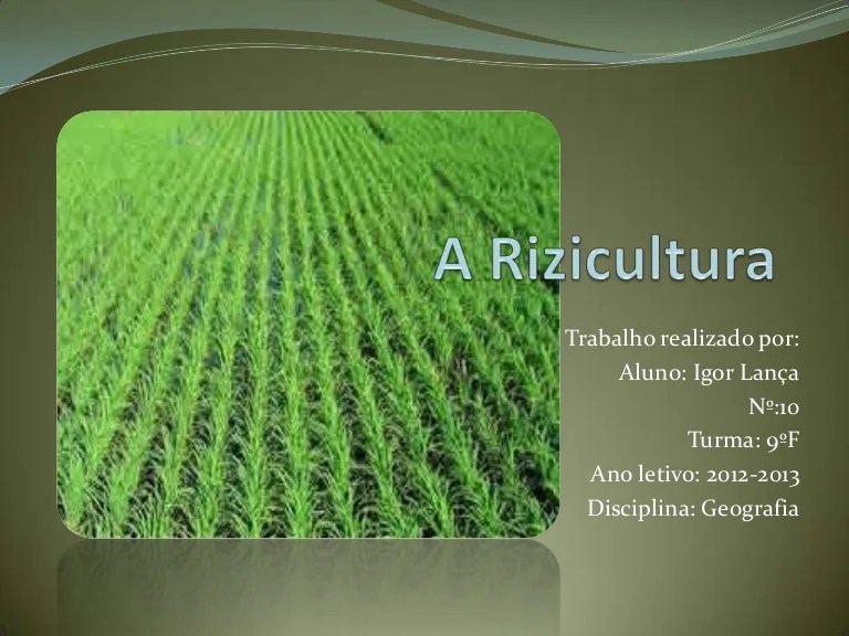 A rizicultura A rizicultura