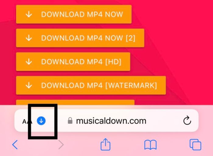 Como baixar TikTok vídeo com e sem marca d'água? [Passo a passo]