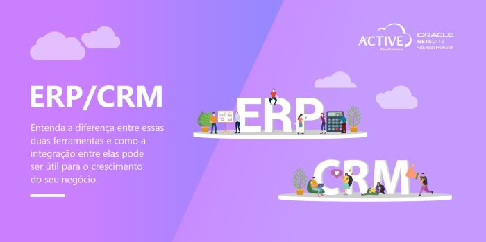 Crm Tem As Mesmas Características E Funções Que O Erp. Verdadeiro Falso