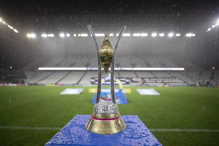 Tabela básica do Brasileiro Feminino A1 2021 é divulgada pela CBF ... Classificação Do Campeonato Brasileiro Feminino