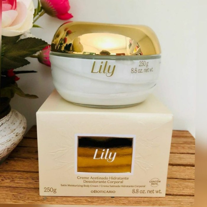 Creme Hidratante acetinado Lily Boticário Tradicional - 250g | Shopee ... Creme Lily Boticário