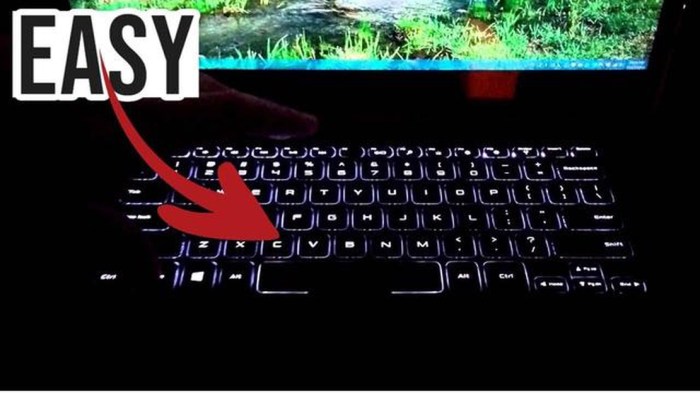 Como Ativar O Teclado Do Notebook - Margaret Wiegel Como Ligar O Led Do Teclado