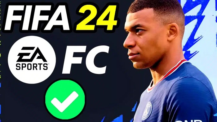 Why is FIFA called FIFA?