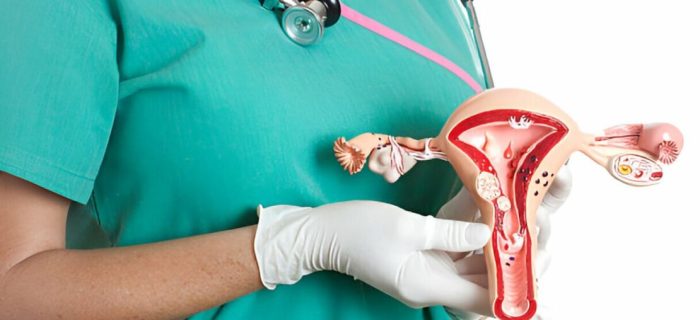 Cirurgia Íntima Feminina: conheça os 7 tipos e benefícios! Cirurgia Íntima Feminina: conheça os 7 tipos e benefícios!