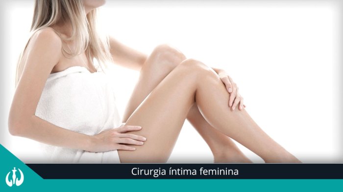 Cirurgia íntima Feminina Guia Completo, Ninfoplastia, Labioplastia e ... Cirurgia Intima