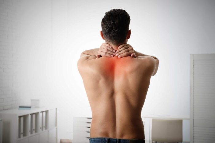 A Coluna Cervical - ITC Vertebral Quantas Vértebras Podemos Encontrar Na Região Cervical