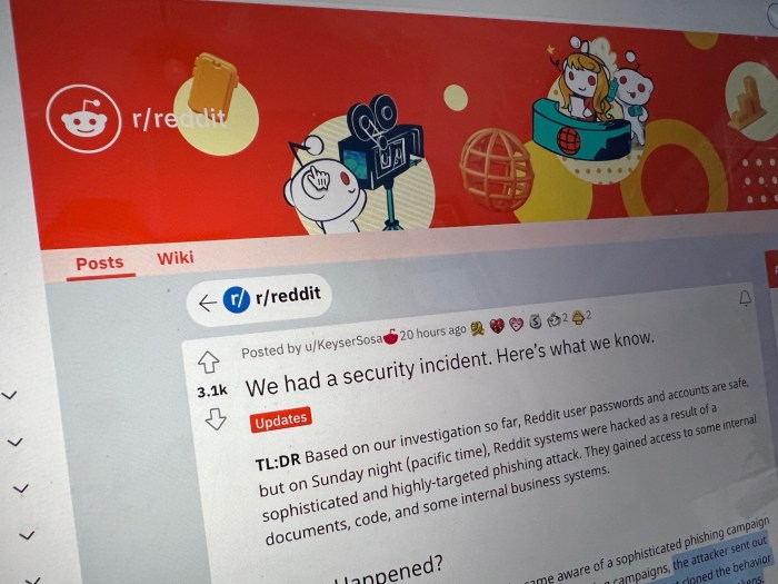 Neighbor's dogs k*lled her TERRIER, so she blocked their view with ... Reddit Blocked By Network Policy