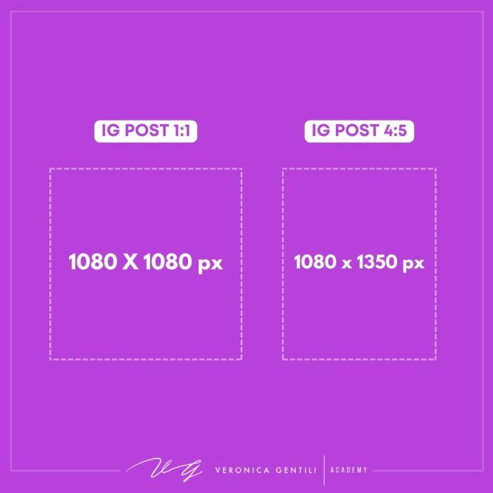 Tutte le dimensioni di Instagram [2024]