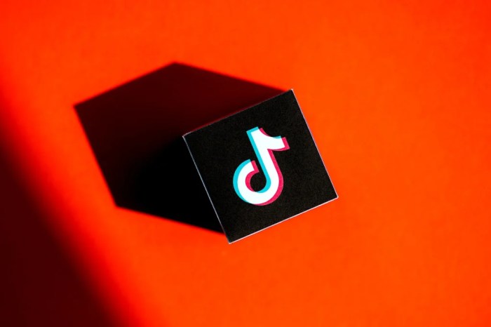 Tiktok Share Stock Video Footage for Free Download Tiktok Share Stock Video Footage for Free Download