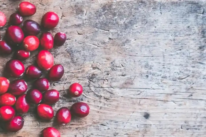 Cotação do café: um guia com os melhores sites e aplicativos Cotação Do Café Em Tempo Real
