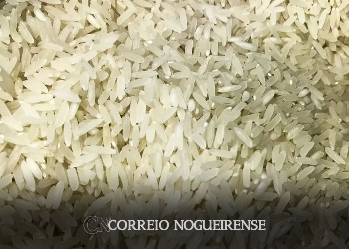 Qual país o Brasil tem mais afinidade? Qual Pais Nao Tem Rio