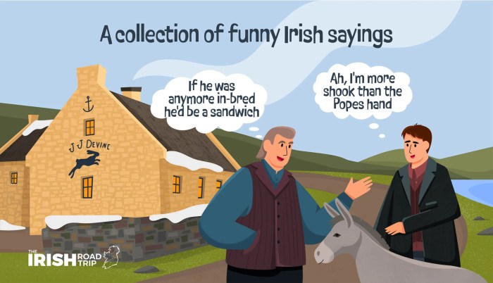 Is rugby English or Irish?