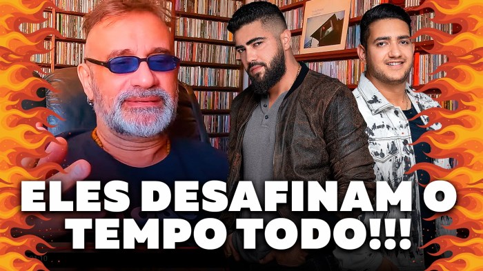 Carreira de Henrique e Juliano timeline | Timetoast timelines Henrique E Juliano Passo Fundo