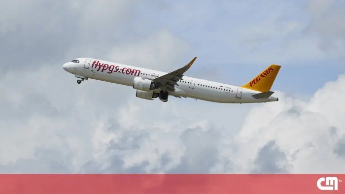 28 imigrantes escapam de avião após aterragem de emergência por falso ... 28 imigrantes escapam de avião após aterragem de emergência por falso ...