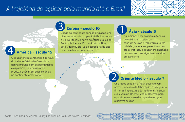 Como o açúcar chegou ao Brasil | Cana Online Como o açúcar chegou ao Brasil | Cana Online