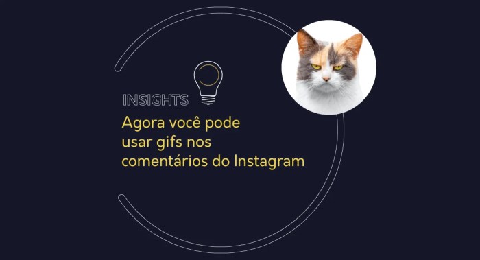 Viviani Silveira l Marketing Digital | Os Gifs do Instagram sumiram, e ... Gif Sumiu Do Instagram