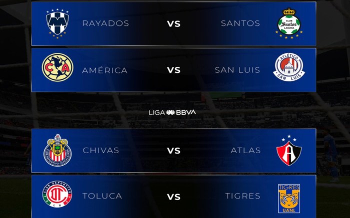 Liga Mx 2025 Final - Alda M. Lewis Liga Mx 2025 Final - Alda M. Lewis
