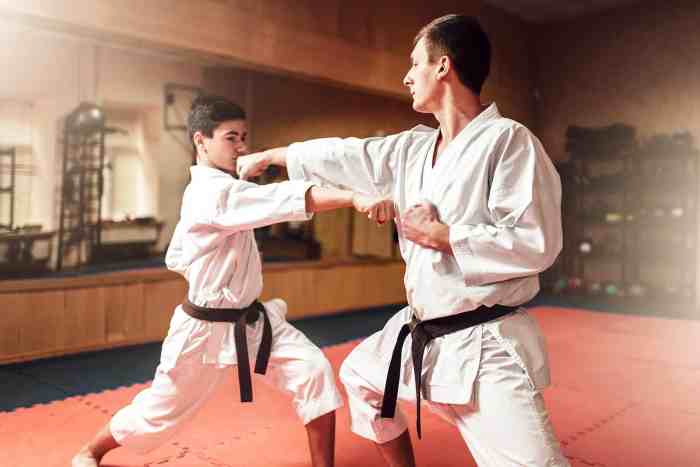 Why was karate removed from the Olympics?