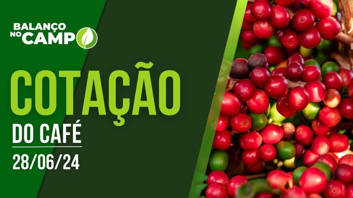 COTAÇÃO DO CAFÉ – 28/06/2024 | Rede Mais COTAÇÃO DO CAFÉ – 28/06/2024 | Rede Mais