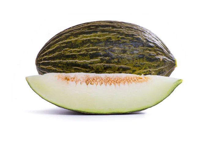 Melão Pele de Sapo RZ Conheça as nossas 4 variedades de melão Pele de ... Melão Pele de Sapo RZ Conheça as nossas 4 variedades de melão Pele de ...