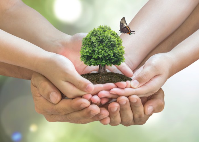 Veja 30 coisas que você pode fazer para preservar o meio ambiente Veja 30 coisas que você pode fazer para preservar o meio ambiente
