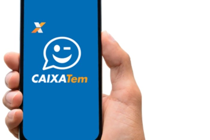 Erros frequentes do Caixa Tem e como a solucioná-los agora mesmo! Erros frequentes do Caixa Tem e como a solucioná-los agora mesmo!