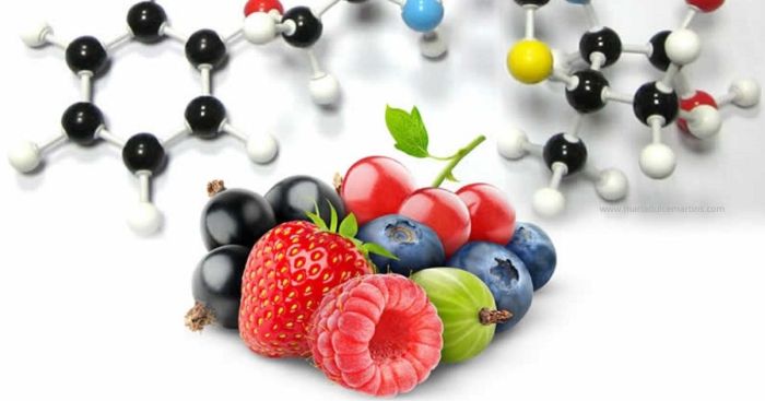 NUTRIÇÃO CELULAR ACTIVA E ORTOMOLECULAR – Nutriterapia: Saúde e Bem ...