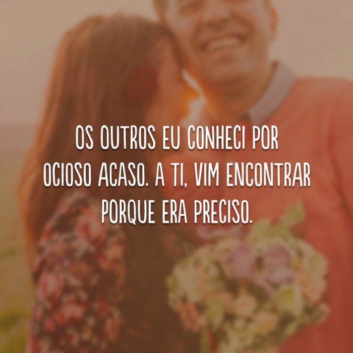 40 frases de casal apaixonado para aquecer o coração com muito amor Os Outros Eu Conheci Por Ocioso Acaso. A Ti Vim Encontrar Porque Era Preciso