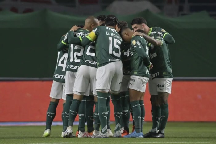 Jogo do Palmeiras hoje: onde assistir, que horas vai ser e escalações ... Que Horas É O Jogo Do Palmeiras