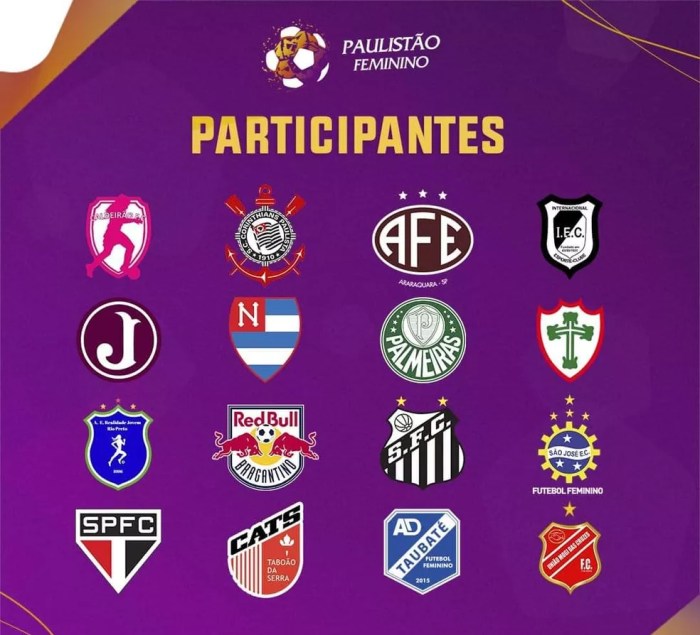 Fase final do Campeonato Paulista Feminino terá transmissão do SporTV Fase final do Campeonato Paulista Feminino terá transmissão do SporTV