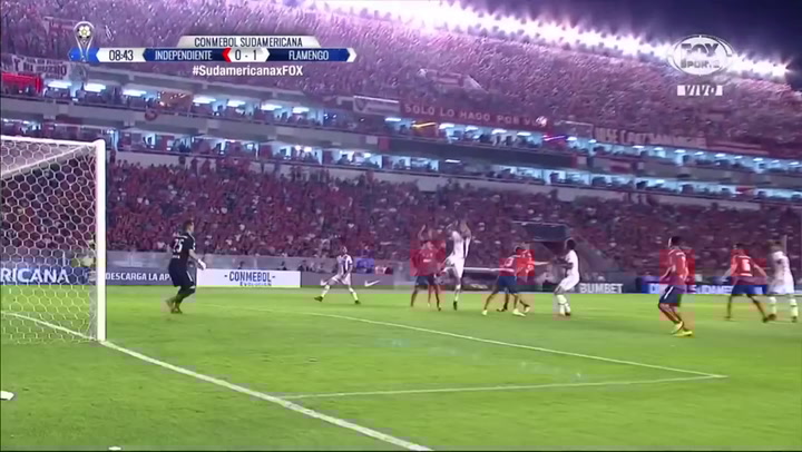 Se suspendió el torneo por tiempo indeterminado – C. A. All Boys Se suspendió el torneo por tiempo indeterminado – C. A. All Boys