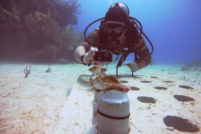 13 Quotes to Protect the Ocean And Help Stop Ocean Pollution 4 ways to take action to protect oceans and people