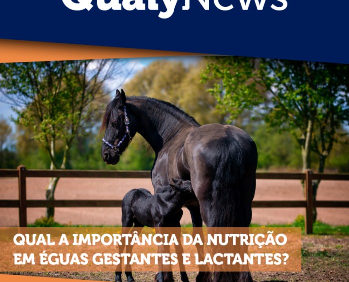 Qualy Nutrição Animal | Tecnologia em Nutrição Animal Qualy Nutrição Animal