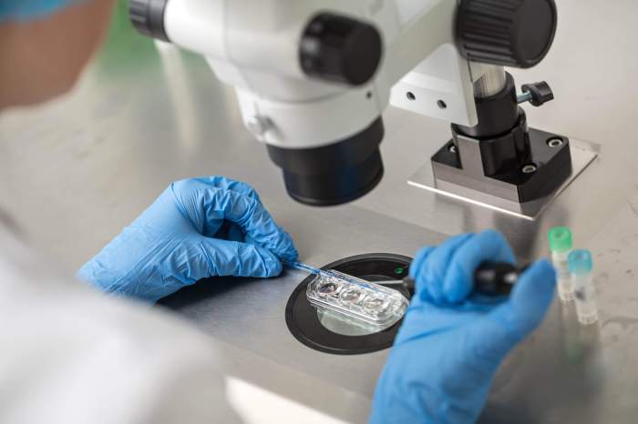 Sydney hospital launches internal investigation after IVF patient ... Monash IVF launches internal investigation after wrong embryo transferred from patient