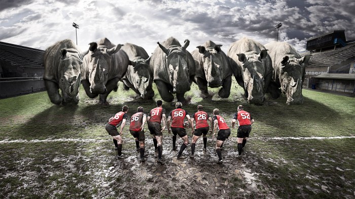 Is rugby a high risk sport?