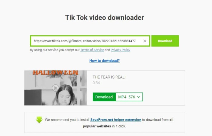 Top 10 melhores ferramentas para baixar vídeo do TikTok online Salvar Audio Tiktok