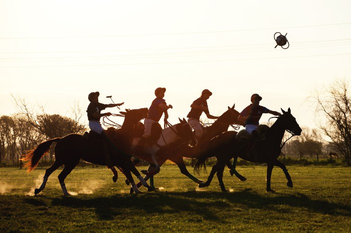 What is Australia's national sport?